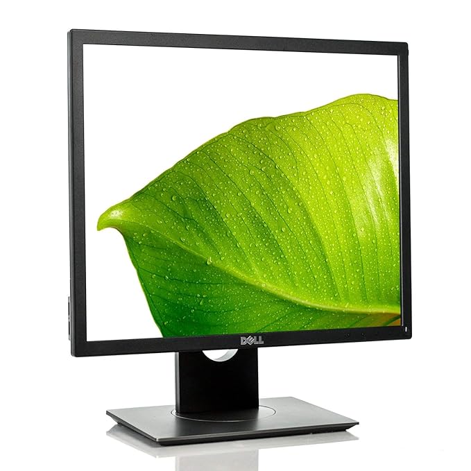 Dell Professional 19 Inch Square LED Monitor P1917S, Black